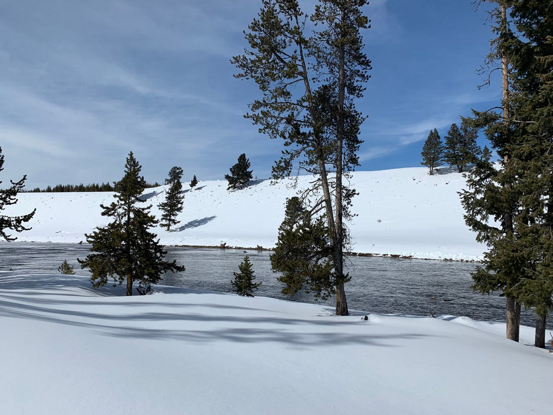 Cold Plunge in Nature