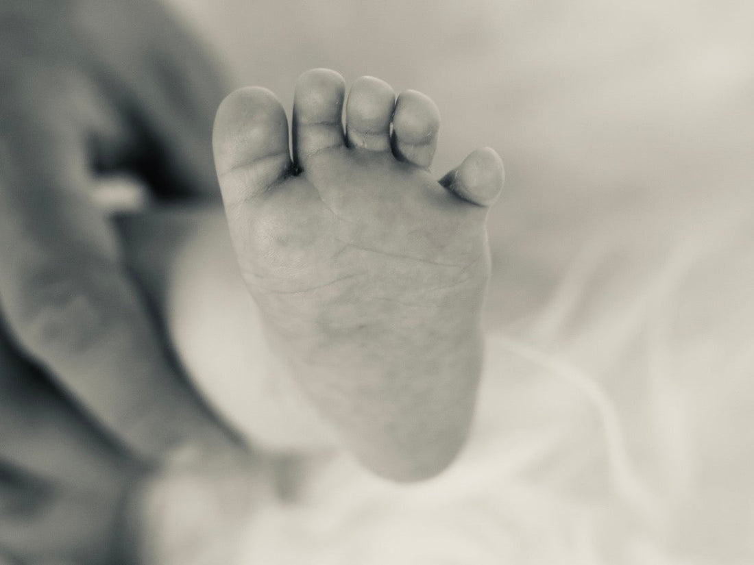 Miracle of Life