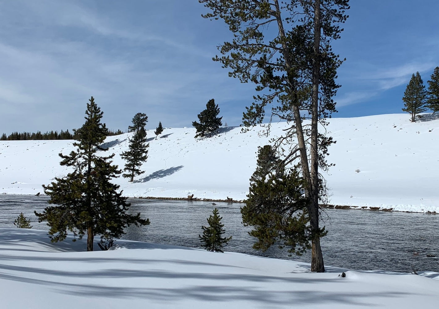 Cold Plunging in Nature