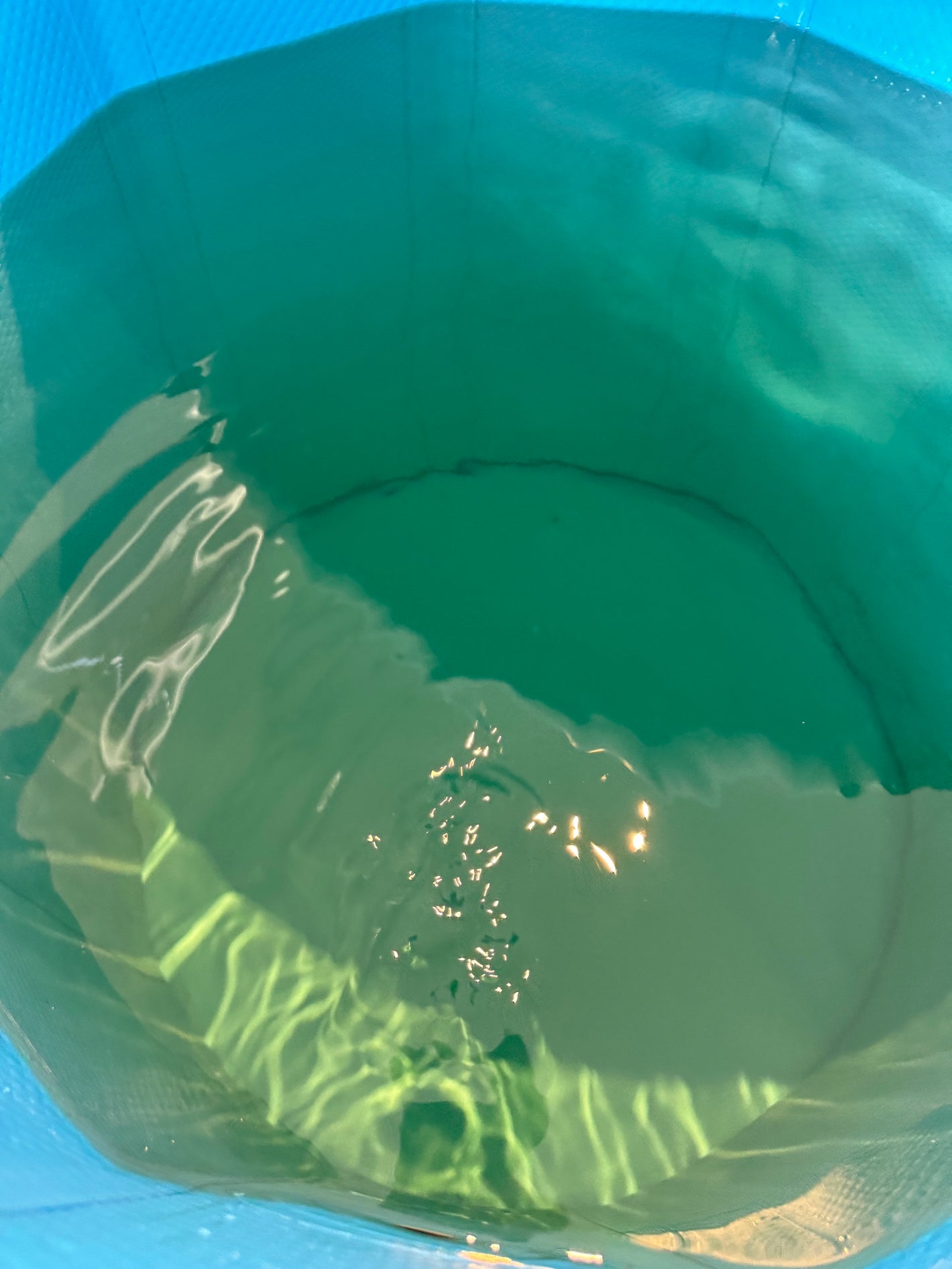 Water Clarity with Other Brands