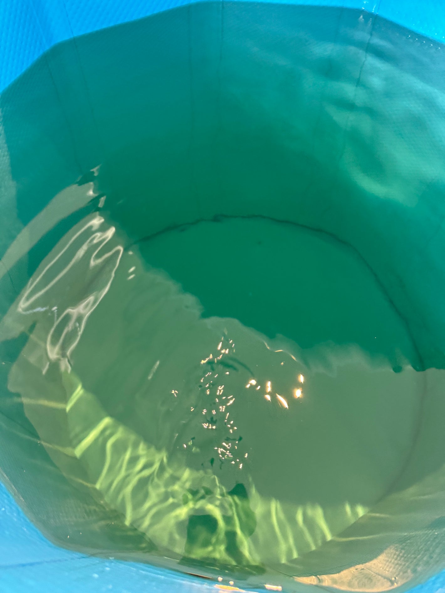 Water Clarity with Most Competitors