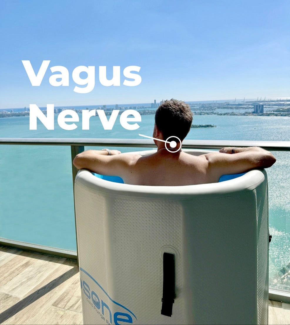 Vagus Nerve and Cold Plunging