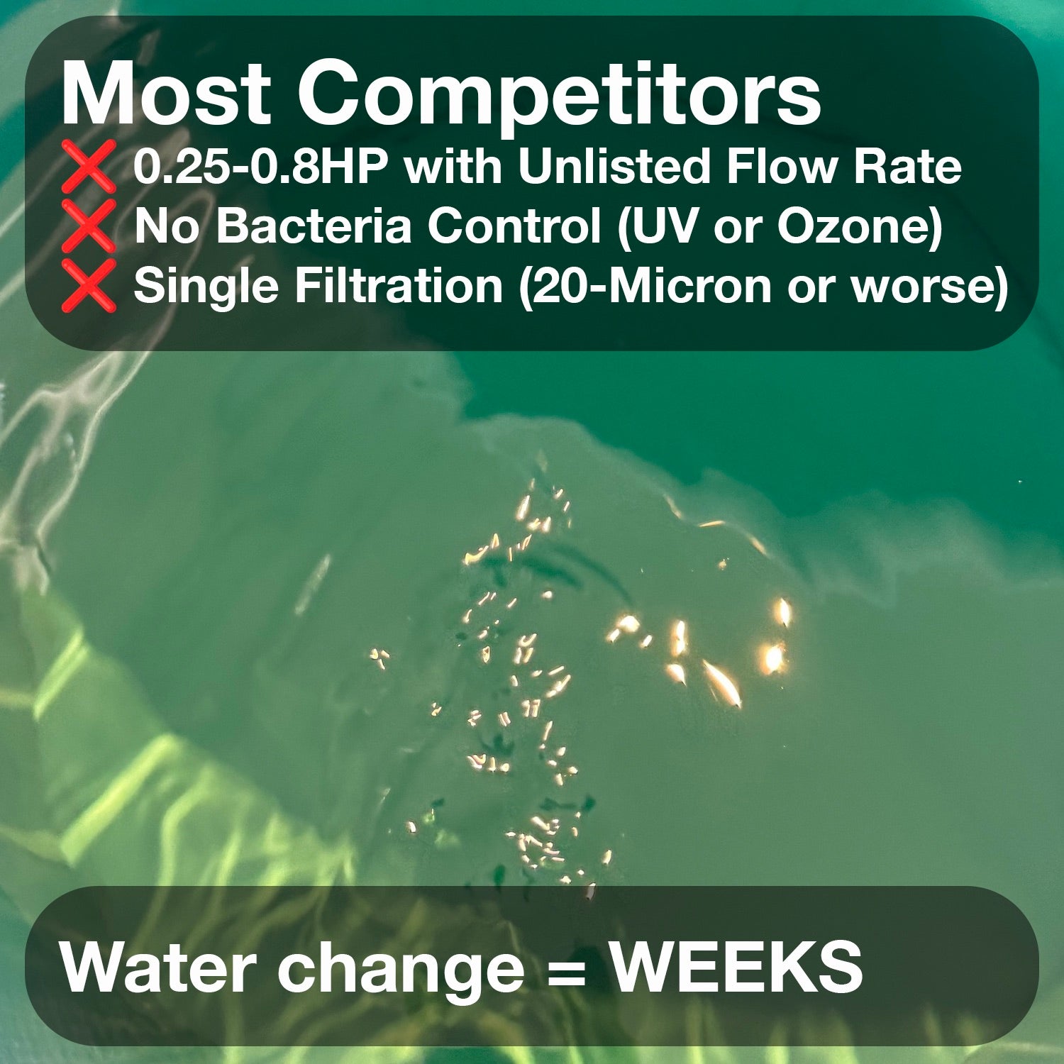 Chillers by competitors = water changes every few weeks